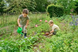 De Emmakröskes groene peuteropvang